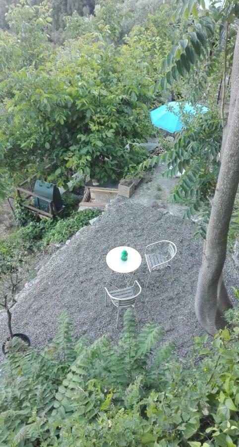Cinque Terre Sea View Apartman Vernazza Kültér fotó